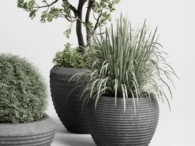 outdoor plant set 152 plant tree grass vase dirty concrete Low-poly 3D model