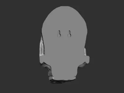 Skull Wall Sculpture 3D print model