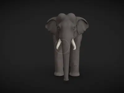 Asian Elephant male Base Mesh Low-poly 3D model