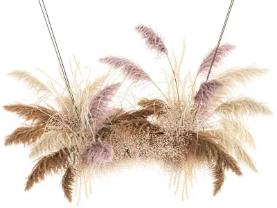 Hanging decor of their dried pampas grass 200 3D model
