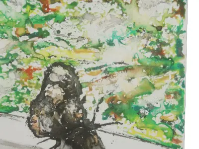 Canvas - Butterfly  Low-poly 3D model