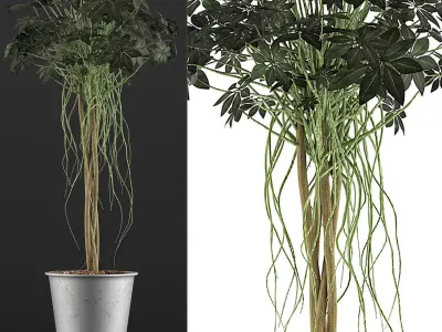 Plants Collection 87 3D model