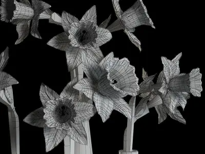 Flowers Collection 05 3D model