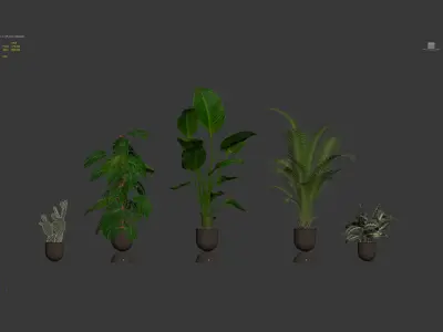 Plants collection 143 3D model