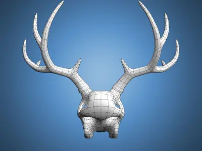 Deer Skull Base Mesh Low-poly 3D model