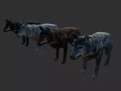 Wolf Animals Low-poly 3D model