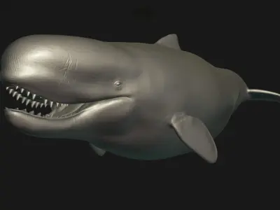 Livyatan Melvillei  3D model purchase