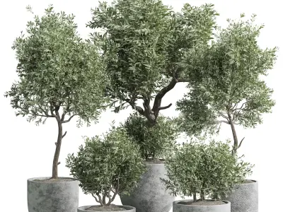 Indoor plant 01 3D model buy