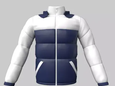 Jacket 3D model buy