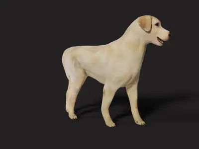 Labrador Dog Rigged with optional Fur  Low-poly 3D model
