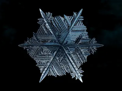 Snowflake 03 growing animation with blender file 3D model