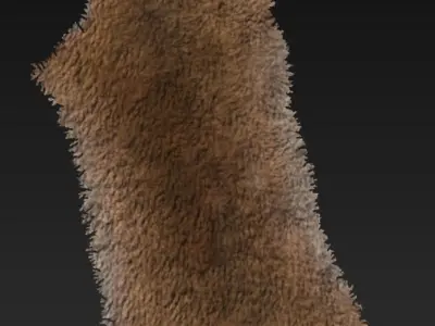 Animal Hide Low-poly 3D model