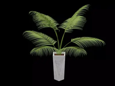 Fern Plant Decor 3D model