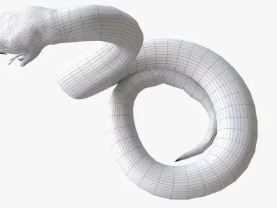Snake rigged 3D model