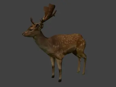 animal deer 3D model