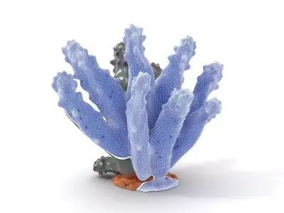 Purple Spiked Cactus model pack Low-poly 3D model