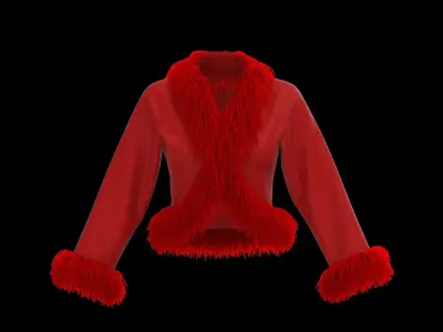 Feather jacket 3D model