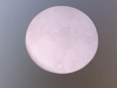Round Rug Mat 3D model