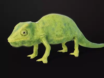 Chameleon Low-poly 3D model