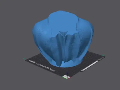 Poodle with Collar Cape on Pedestal 3D print model