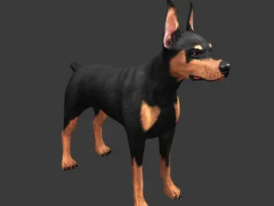 German Doberman Pinscher Low-poly 3D model