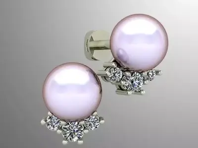 Earrings 48 3D print model