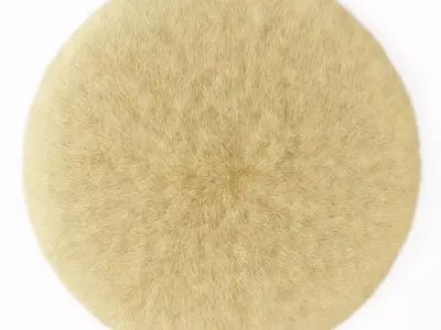 Round rug yellow 3D model