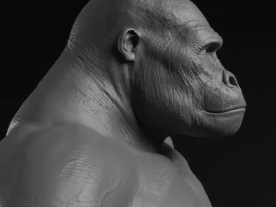 Gorilla - Highpoly Sculpture 3D model  3D model