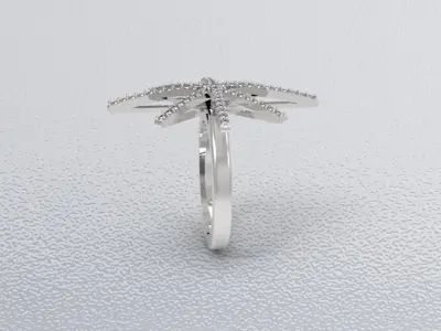 star-diamond-ring 3D print model