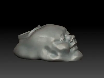 FACE-VASE silver skull 3D print model