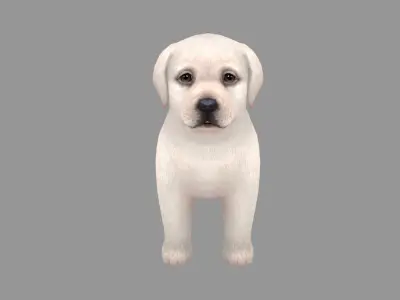 Cartoon pet puppy - Labrador - baby dog Low-poly 3D model