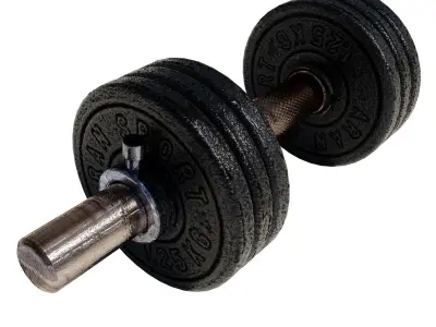 Dumbbell with adjustable weights 3D model