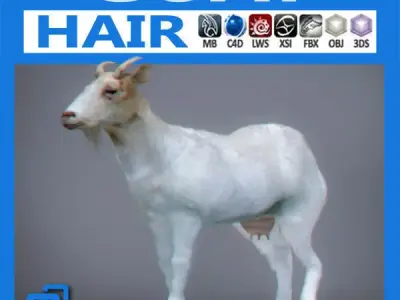 Goat 3D 3D model