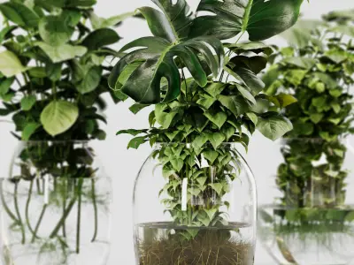 Indoor Plant Set 02 ivy in jar 3D model