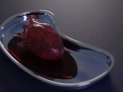 Human Heart Model - low poly Low-poly 3D model