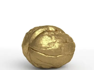Golden Walnut Decorative 3D model
