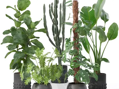 Plants collection 133 3D model