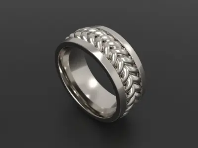 BRAIDED   RING Width 8mm 3D print model