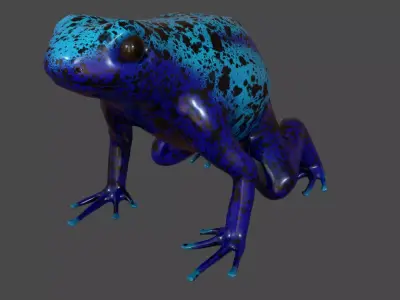 blue frog Dendrobates azureus pbr Low-poly 3D model