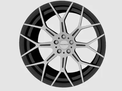 Wheels Mansory M80 3D model