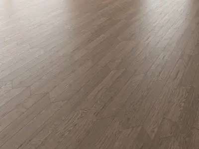  Parquet Oak Missisippi WWL set 6 3D model