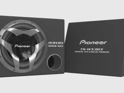 Car Subwoofer 3D Model - Pioneer TS-WX303 3D model