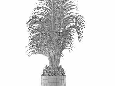 House Plant 30 3D model