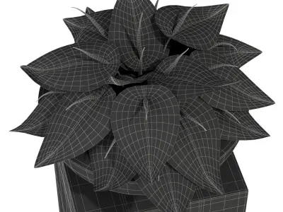 Plants collection 281 Fleurami ROYAL  3D model