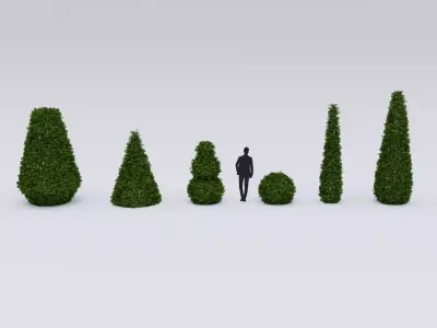 Garden boxwood spherical set v1 Low-poly 3D model