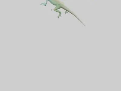Bonaire Whiptail Lizard running model 3D model