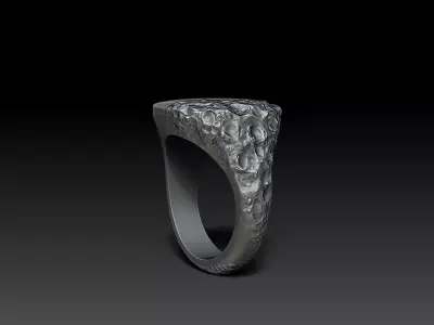 Signet Ring Sculptural Jewelry Design 3D print model