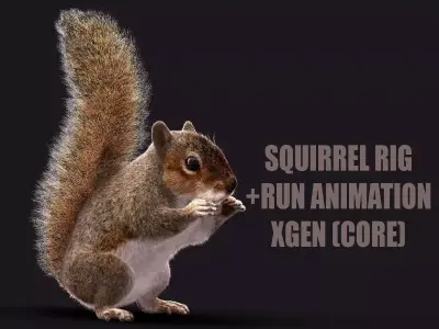 SQUIRREL ANIMATED XGEN CORE 3D model