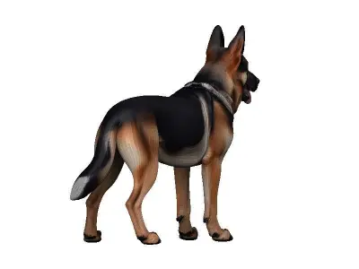 Germanshep Low-poly 3D model