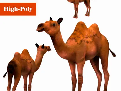 camel  rig  high-poly  textured 3d model 3D model